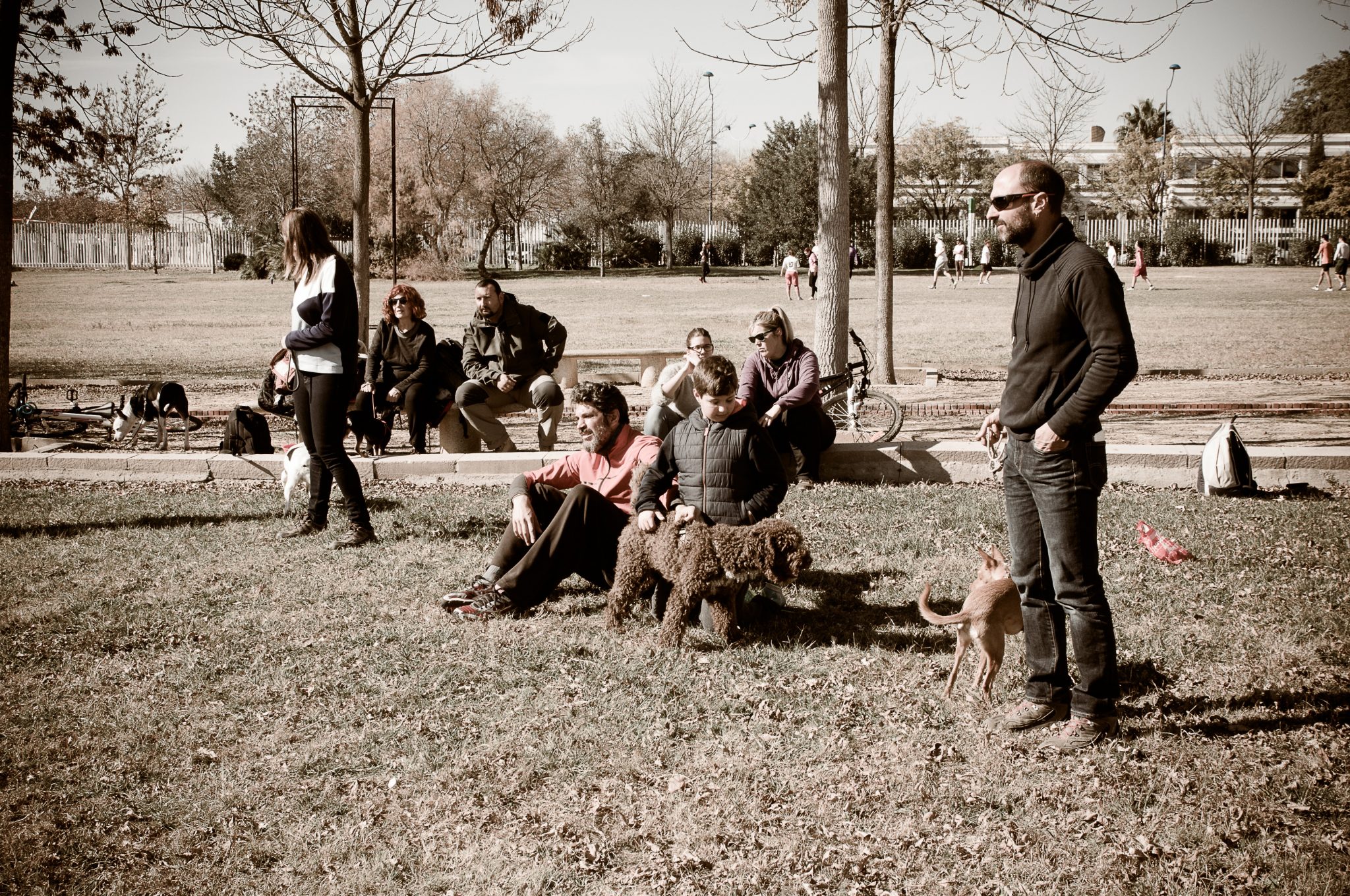 Adiestramiento Canino, Educación Canina y Rehabilitación de Perros con Problemas en Sevilla