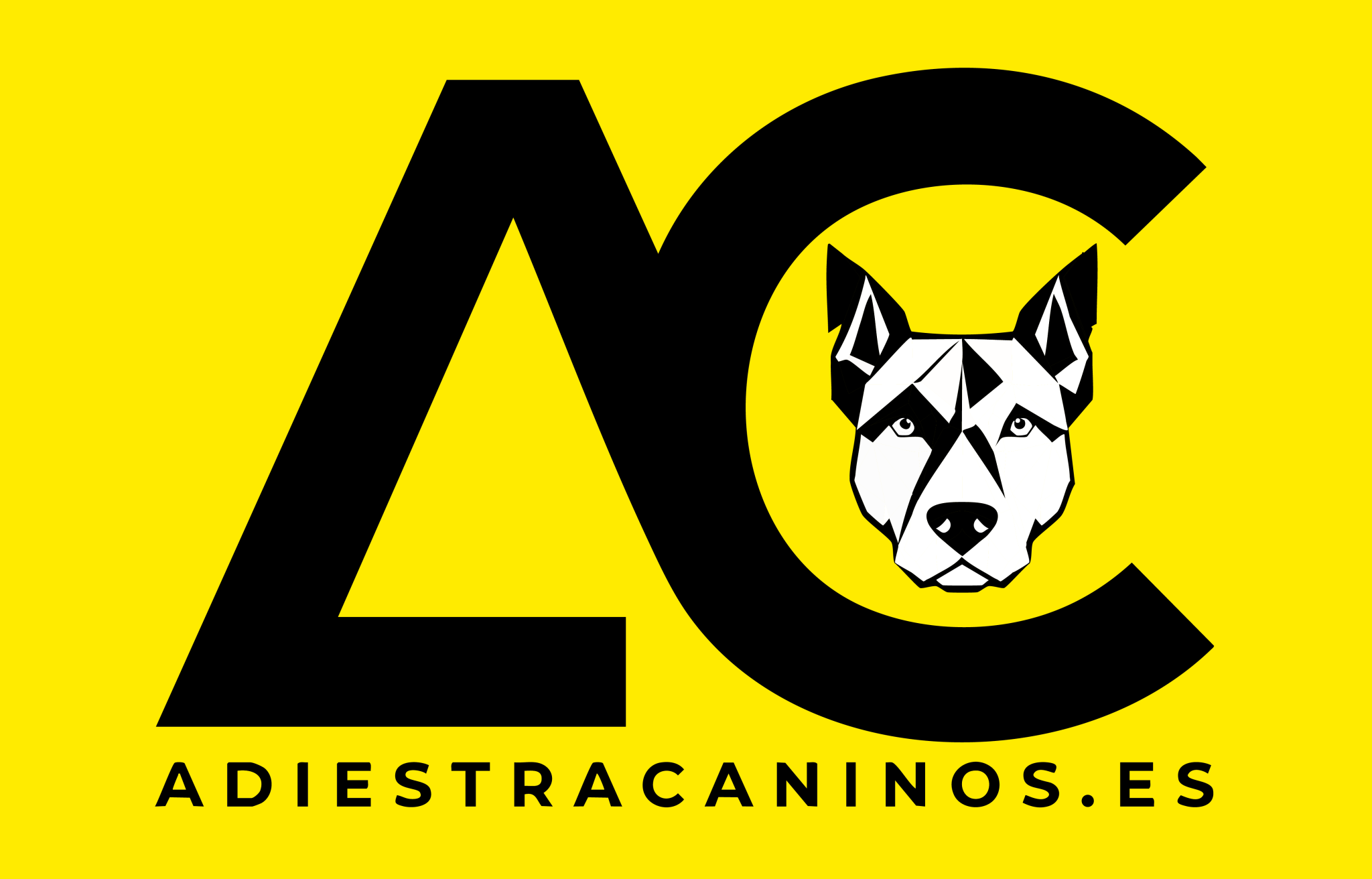 Adiestramiento Canino y Educación Canina en Sevilla